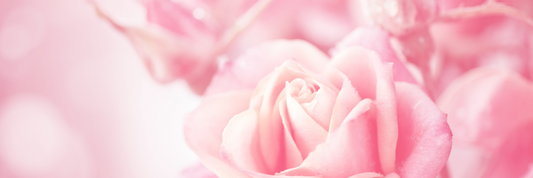 Les Bienfaits Inattendus de la Crème Visage Rose